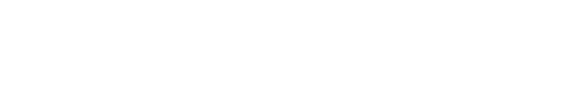 Microlay Dental 3D Printers